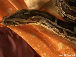 Bollywood Nudes: Petite young lady teasing with snake bollywood style